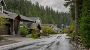 Lynn Valley Handyman Hero — Route 99 Handyman