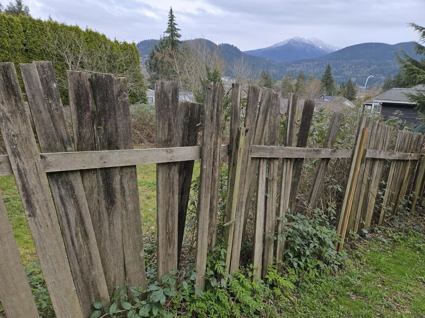 Before: Cedar Privacy Fence Build in Deep Cove, North Vancouver